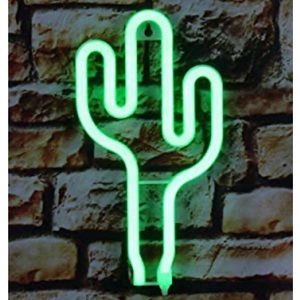 Cactus-neon light decor